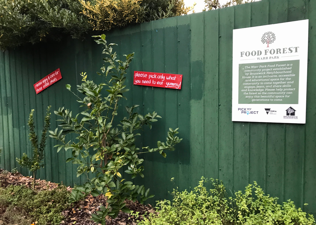 Green wall with informative sign and hand painted signs about how to pick veggies