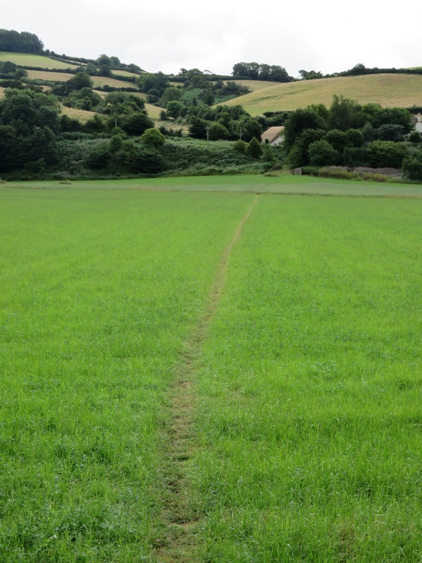 path on field