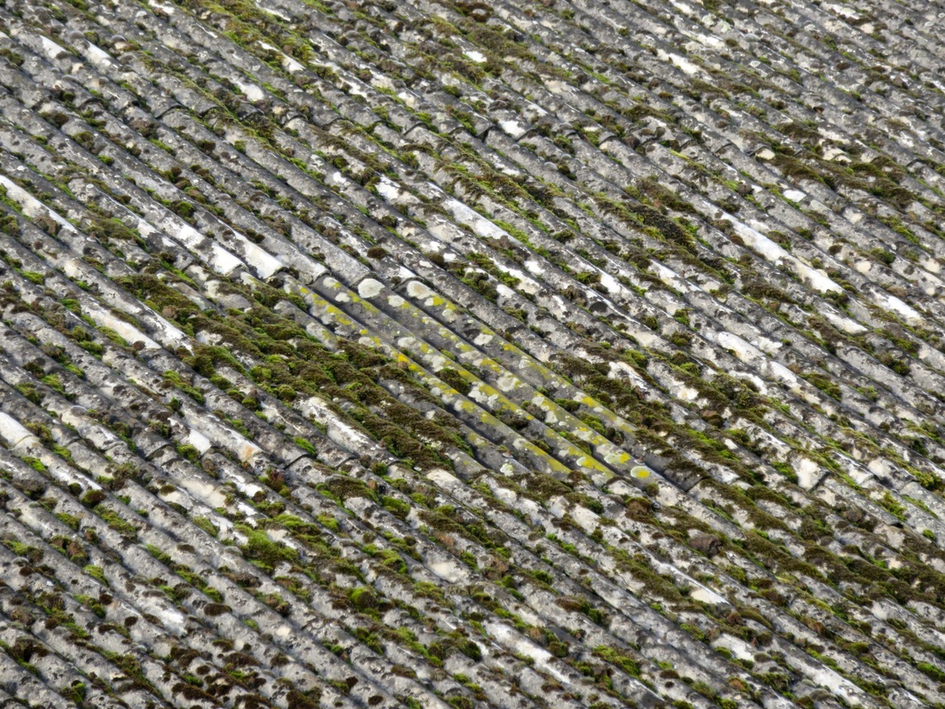 corrugated roof with moss