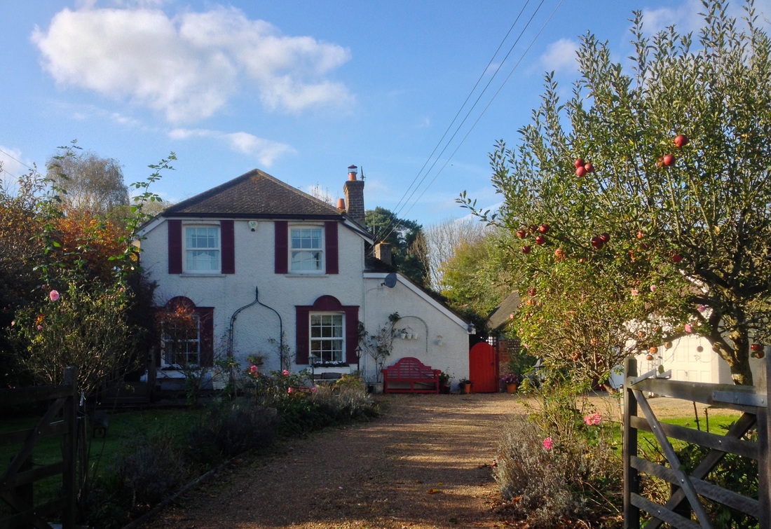 House and apple tree