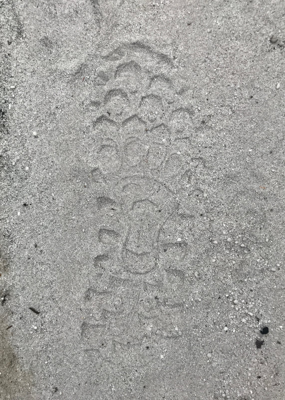 Shoe print in grey sandy soil