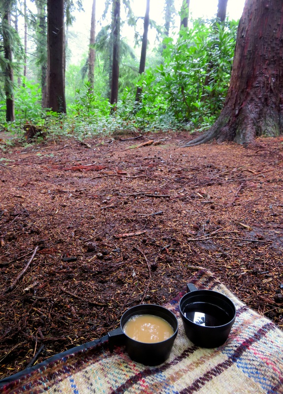 Tea in the woods