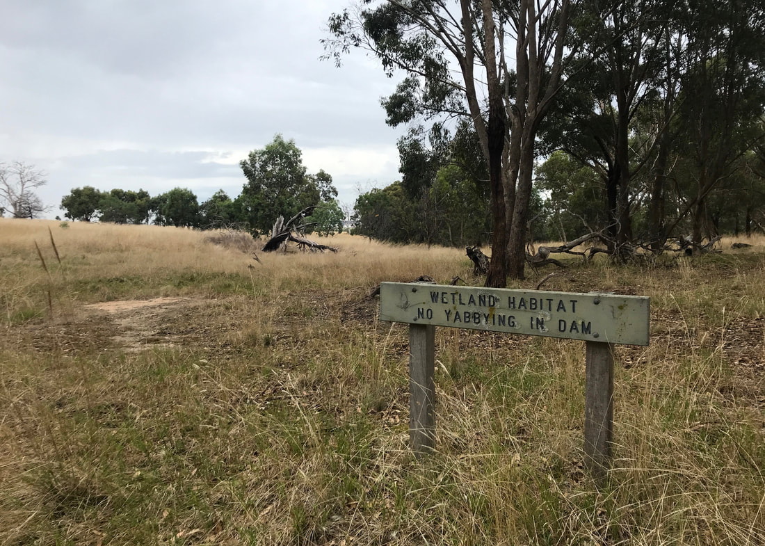 Scrappy bush and grass with a sign reading WETLAND HABITAT NO YABBYING IN DAM