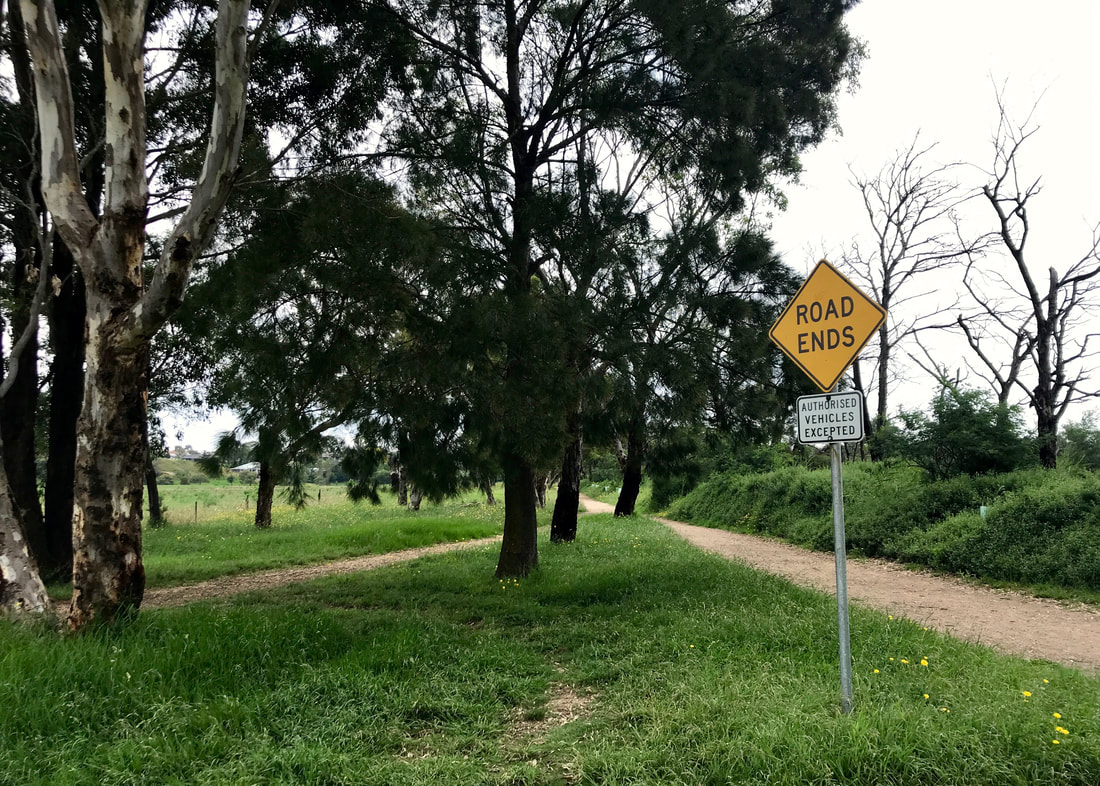 Two gravel path merging beneath trees, with a yellow ROAD ENDS sign