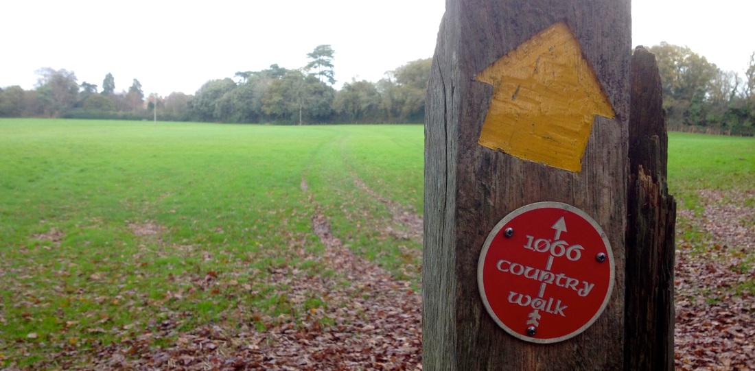 Waymarkers and autumn leaves