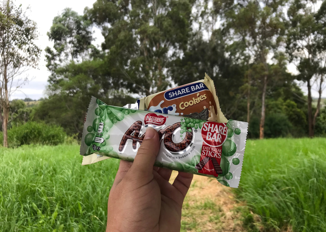 A hand holding two bars of chocolate with out of focus grass and trees in the background