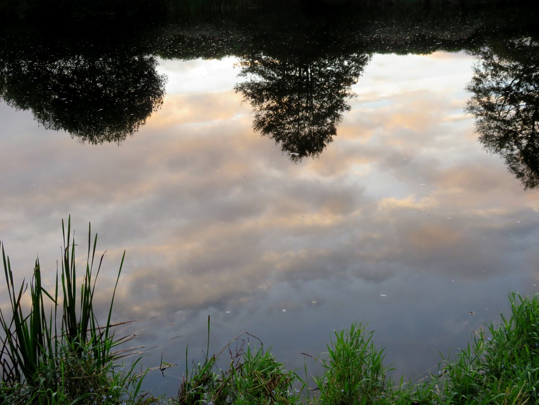 Reflected morning clouds