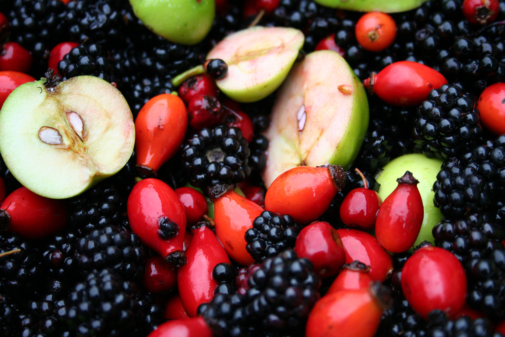 Blackberries, apples, rose hips, hawthorn