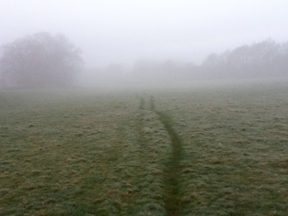Mist, footpath, field