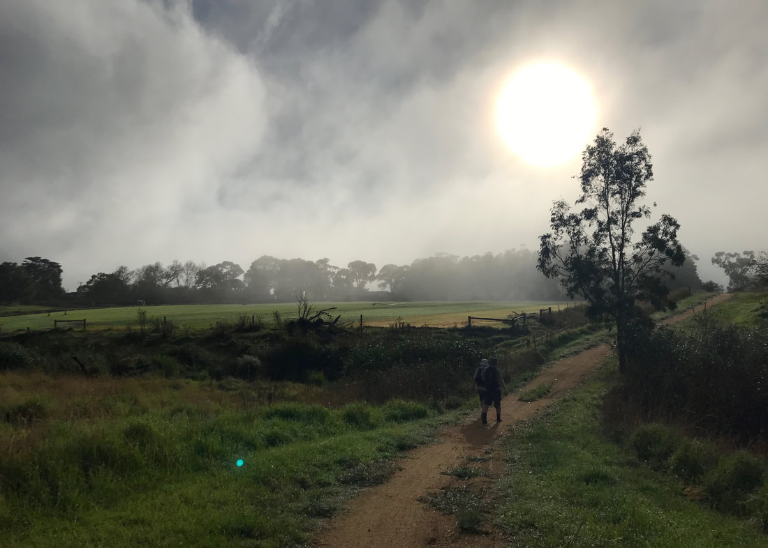 in the morning mist, with the sun shining through, a dirt track dips through green grass and two people walk away from the camera