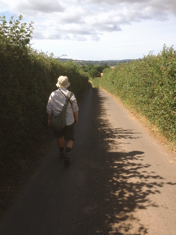 person walking on road between hedges