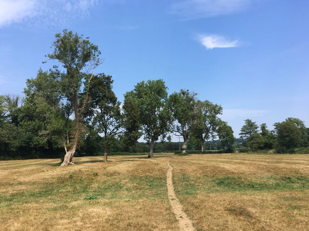 Path through dry field