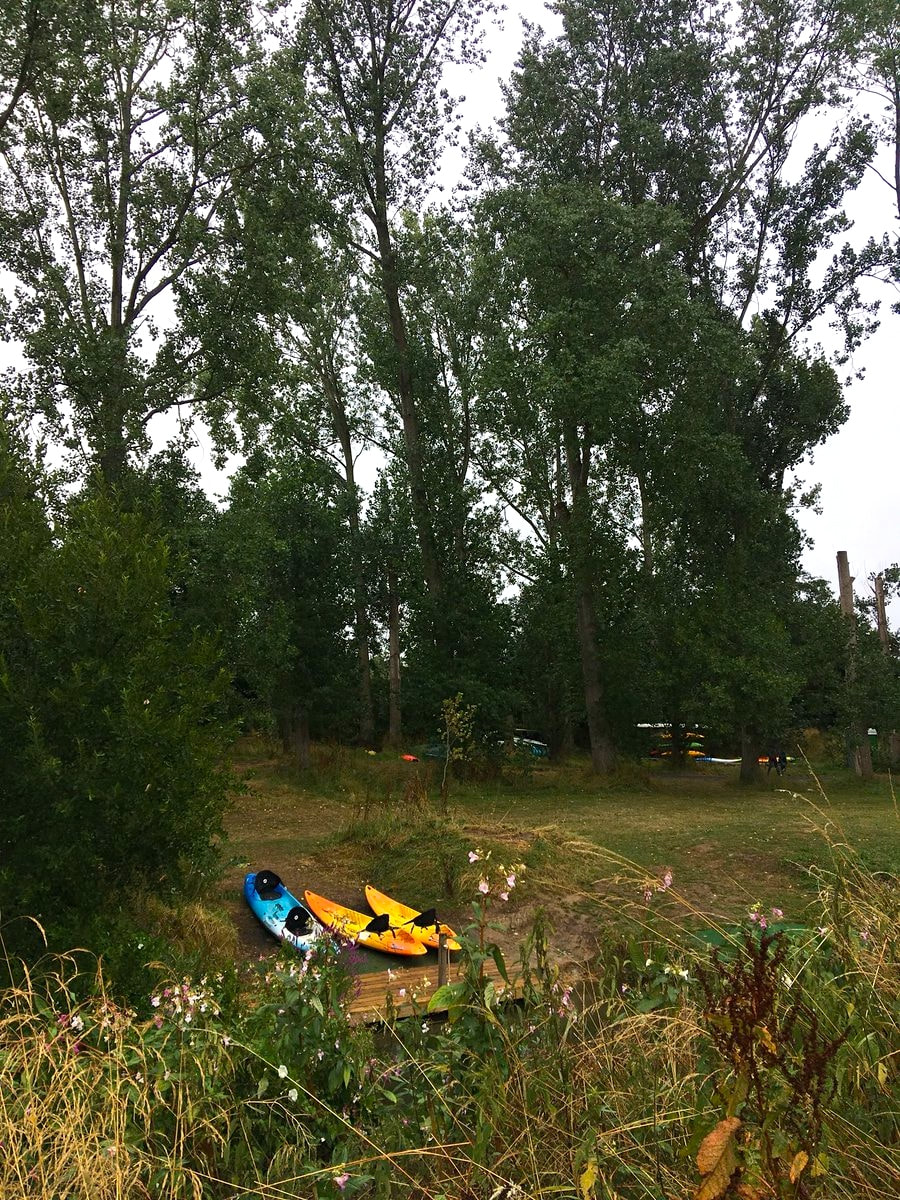 Kayaks beside river