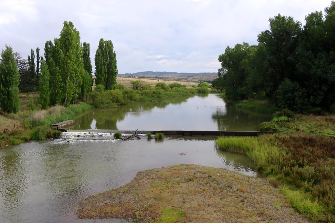 river with small weir and green trees