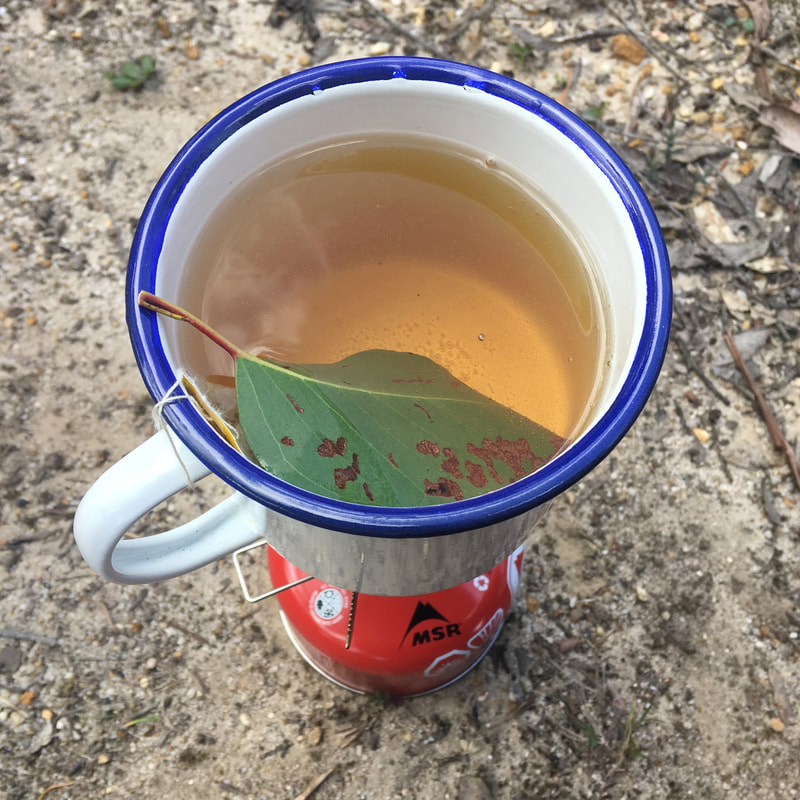 Cup of tea with a leaf in it