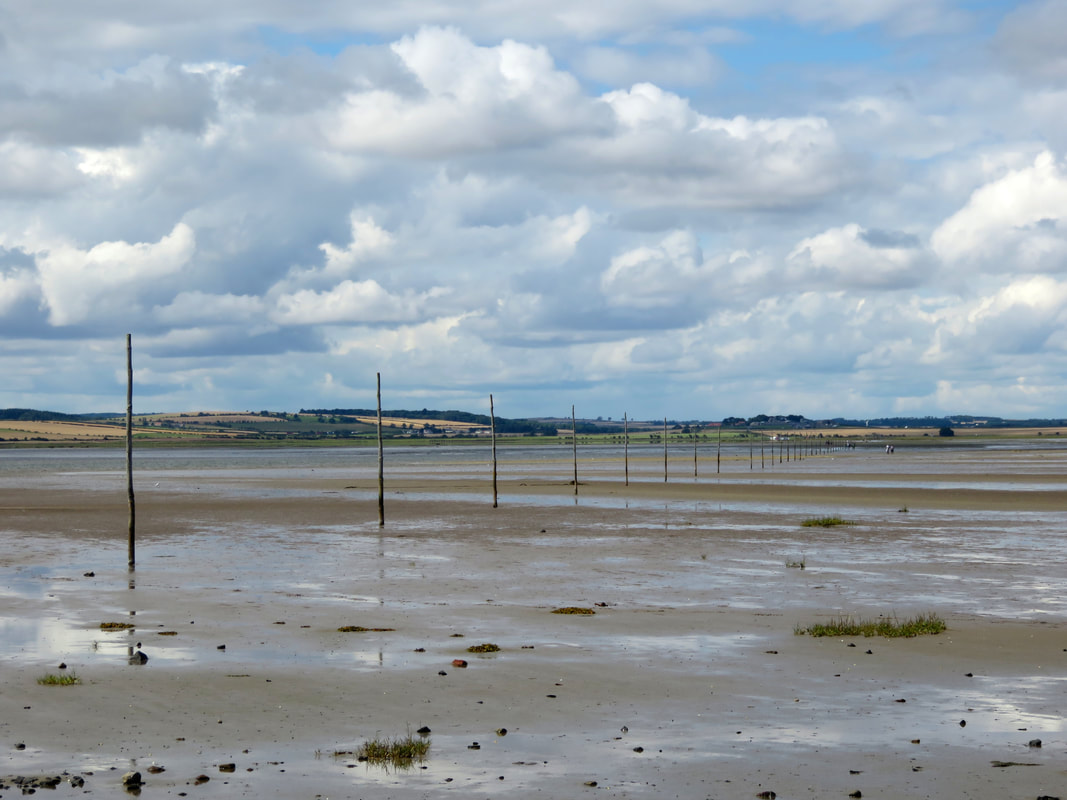 Tidal mudflats with a line of poles