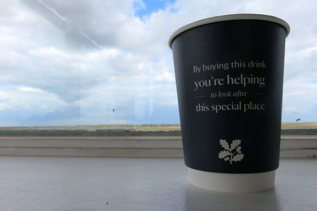 Disposable National Trust branded coffee cup 