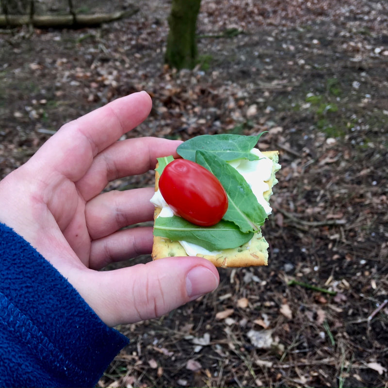 Hand holding cracker with tomato, green leaves and cheese spread on it