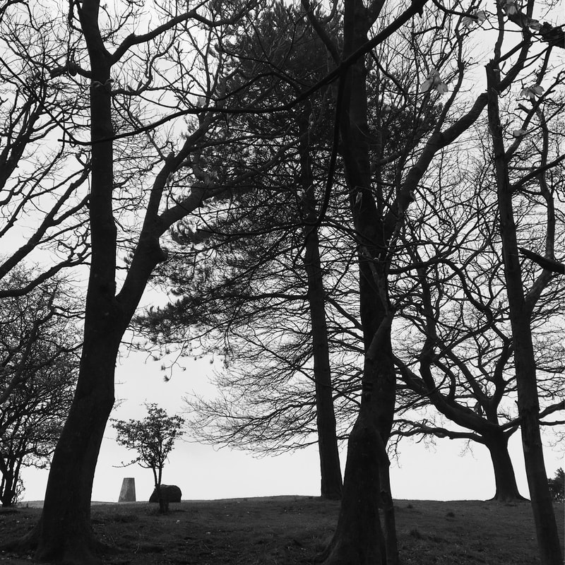 B+W pic with silhouetted trees and a trig point