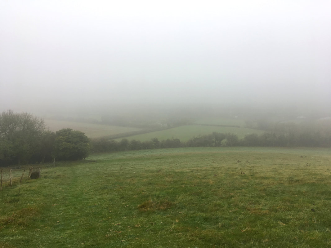 Fields in mist