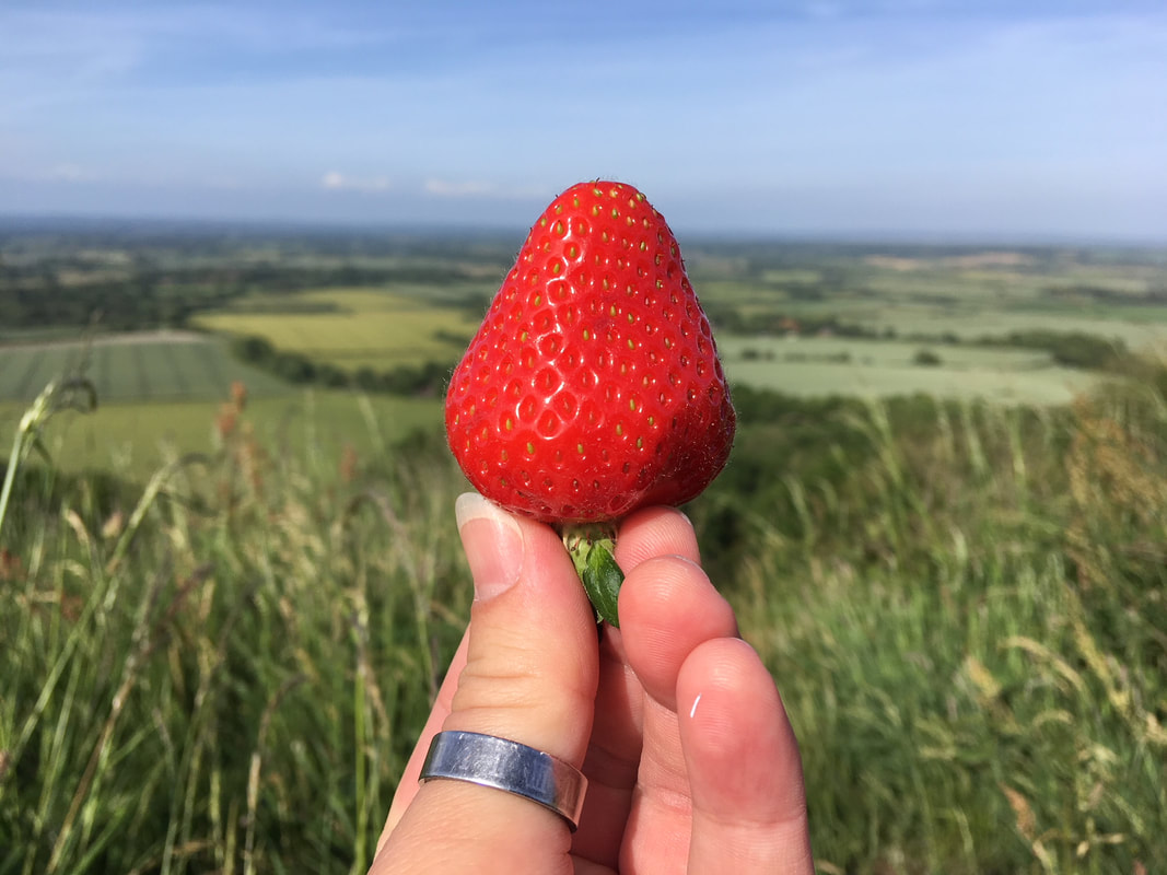 Strawberry and view
