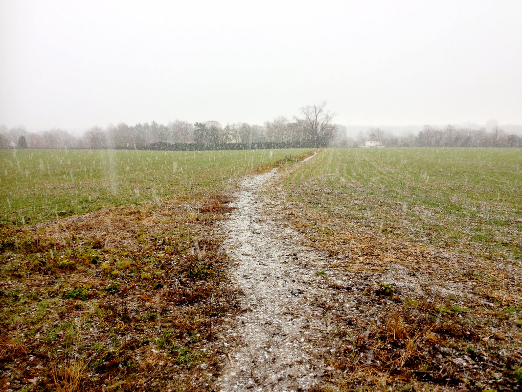 Field with snow falling