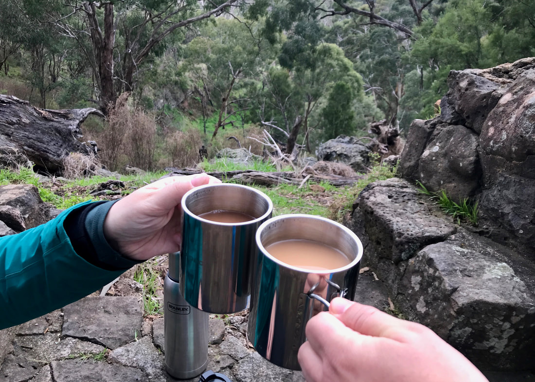 two hands holding stainless steel mugs of tea in front of a rocky landscape with green trees