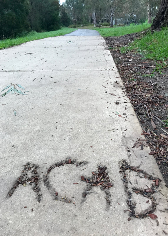 Low angle shot of a concrete path where someone has written ACAB into the wet concrete