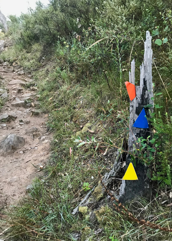 Three arrow markers (orange, blue and yellow) on an old tree stump beside a single path