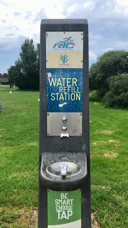 Water fountain and bottle refill station