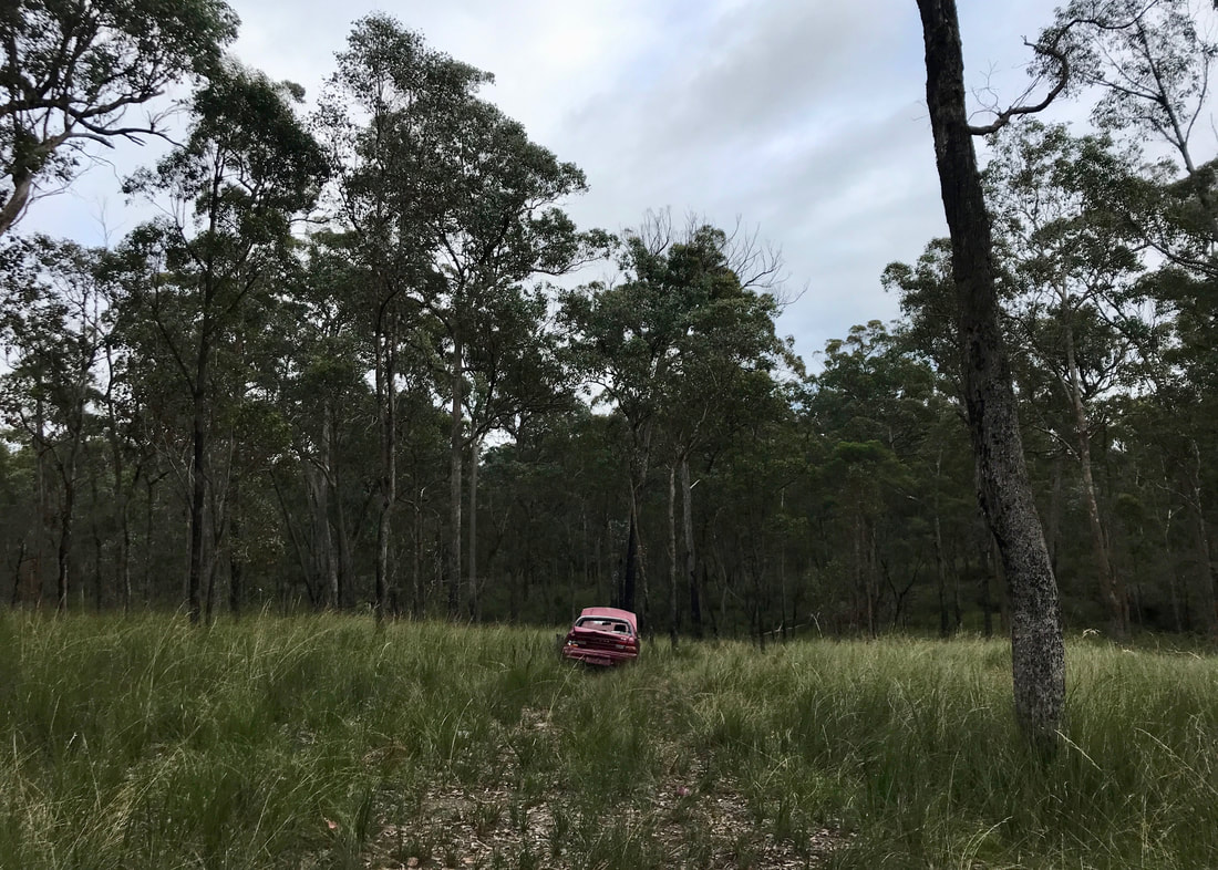 Red car, crumpled and abandoned in a grassy area among trees