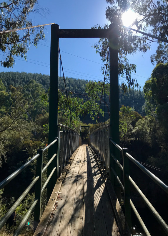 One point perspective of a swing bridge, slightly backlit by the bright sun, with a pine-covered hill in the background