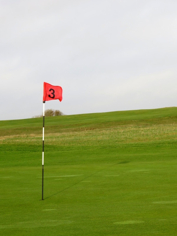 golf course and flag