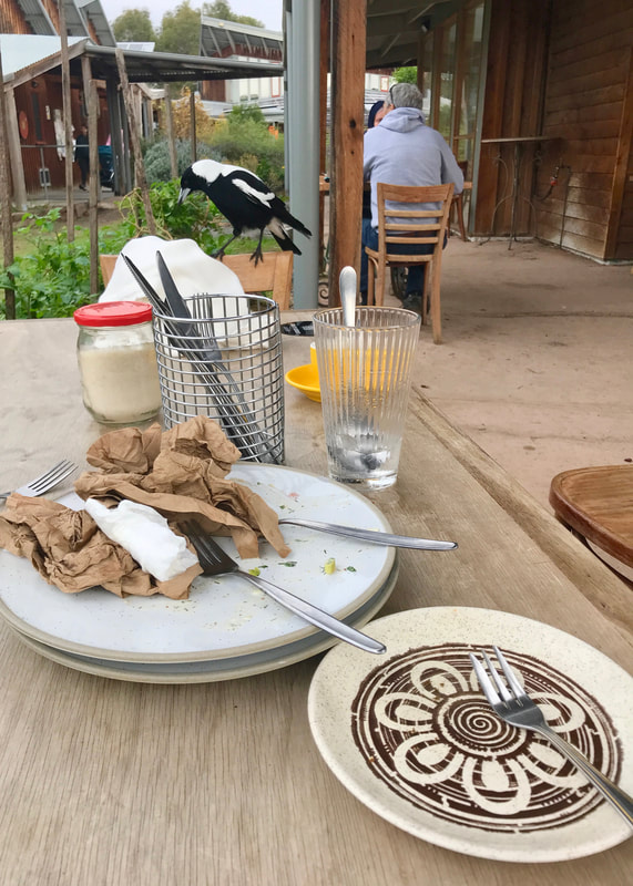 At an outdoor cafe, a magpie perches on the back of a seat, while on the table are dirty plates and serviettes