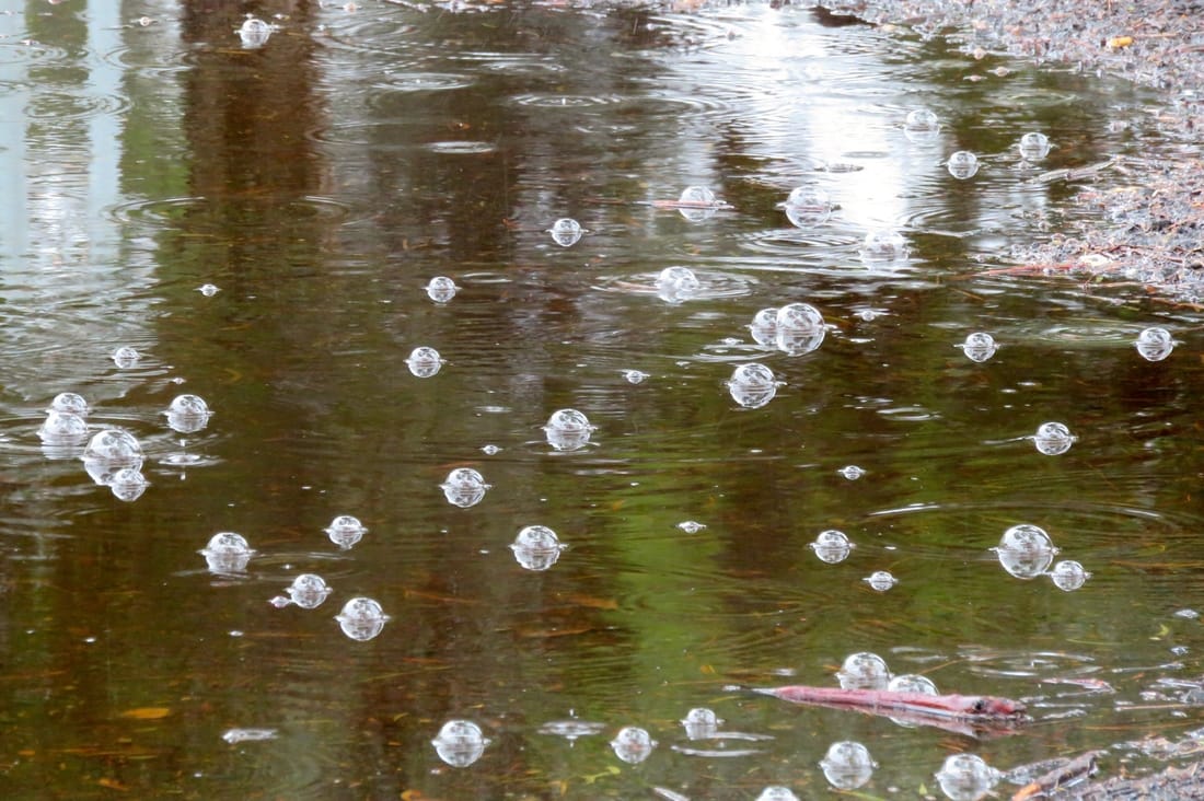 Bubbles on puddle