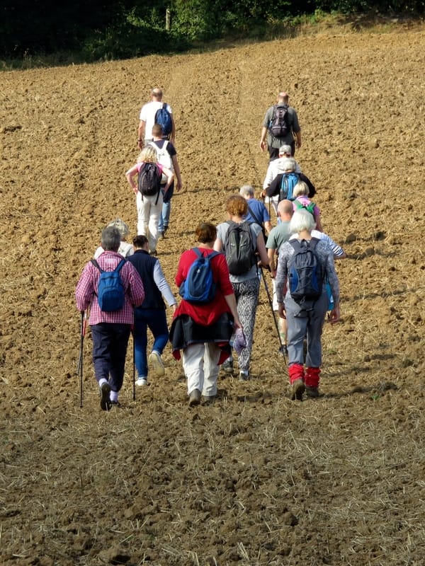 group of walkers on field