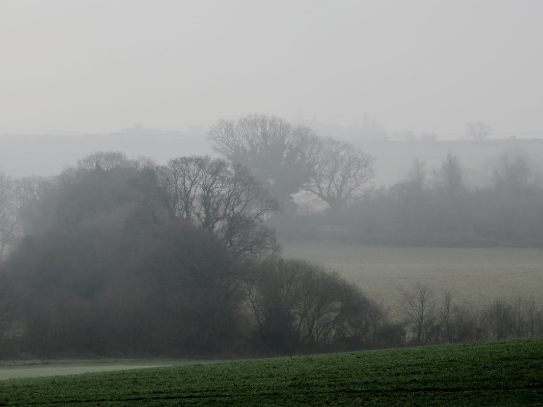 misty fields