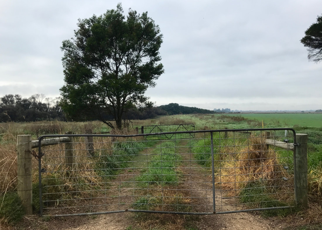 Looking out into paddocks across two farm gates.