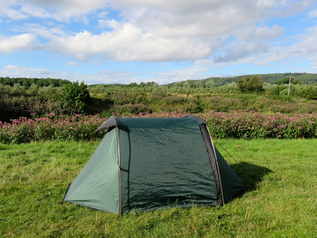 Tent in sunny field