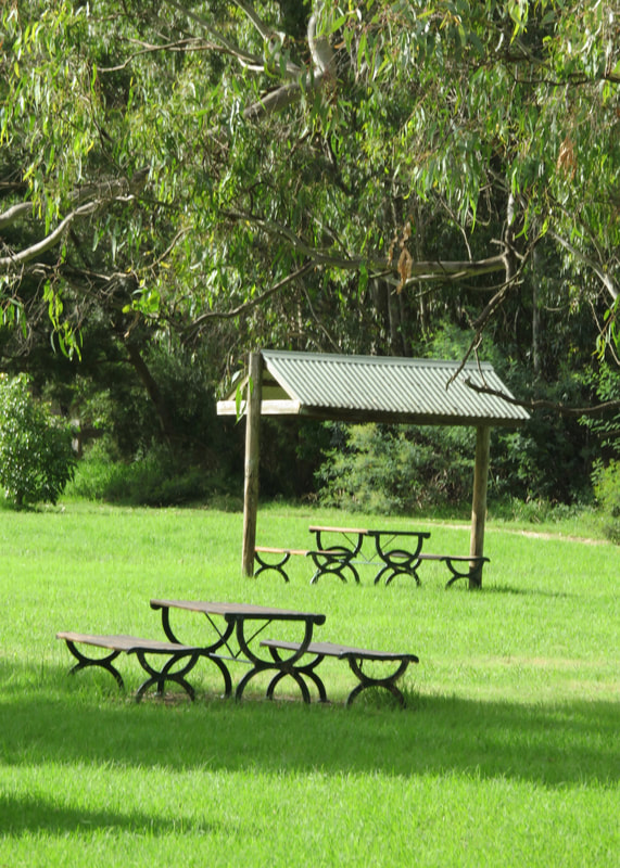 picnic tables and trees in a grassy area