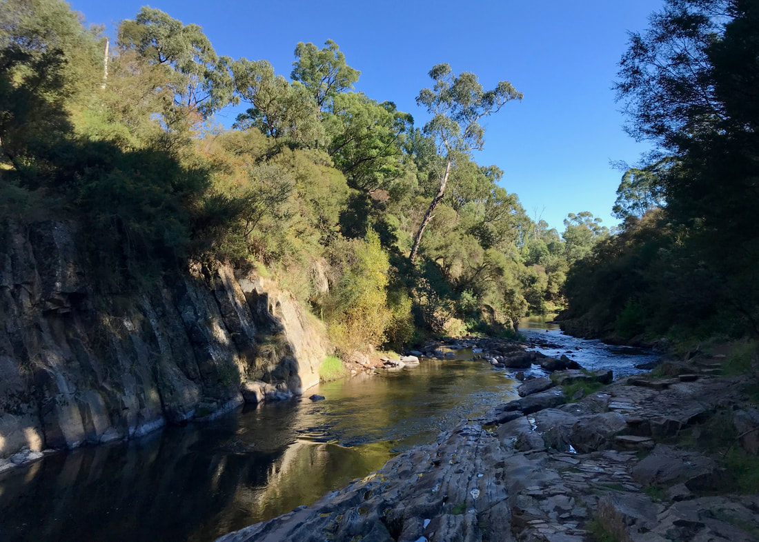 Looking down the river in a shady, small ravine, with rocks on both sides and trees above