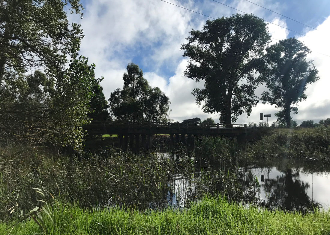 Road bridge crossing a full creek with reeds in the foreground and trees behind