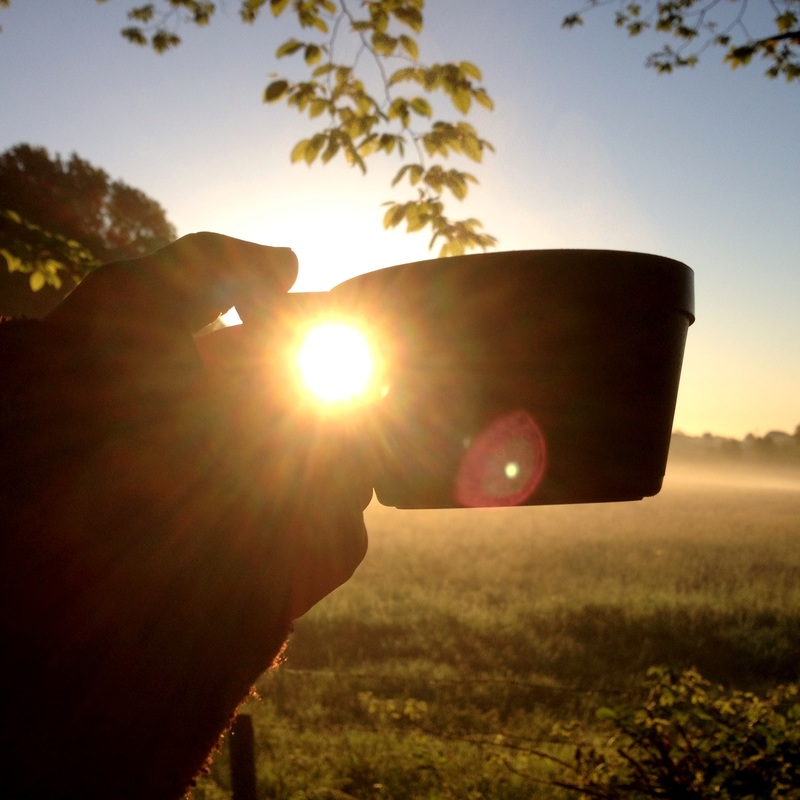 Cup in silhouette, held up to sun