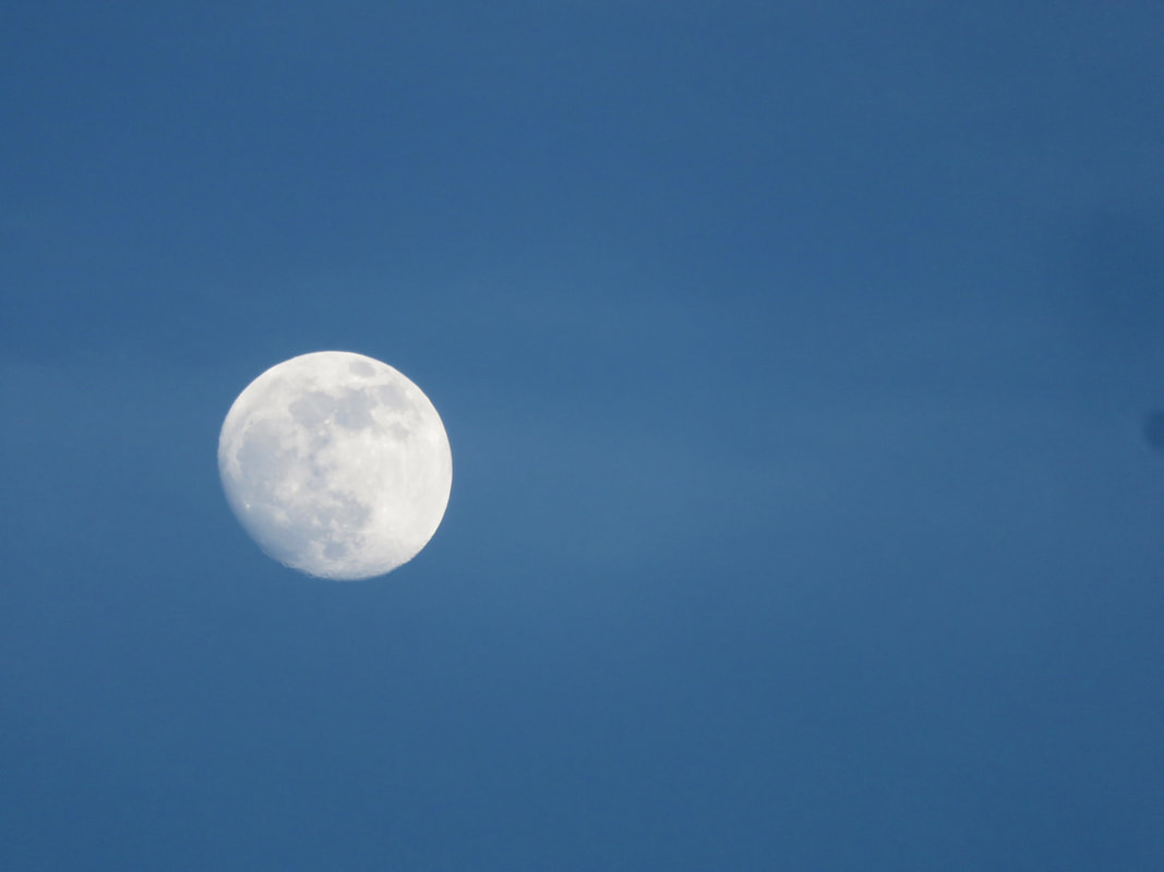 Nearly full moon in darkish blue sky