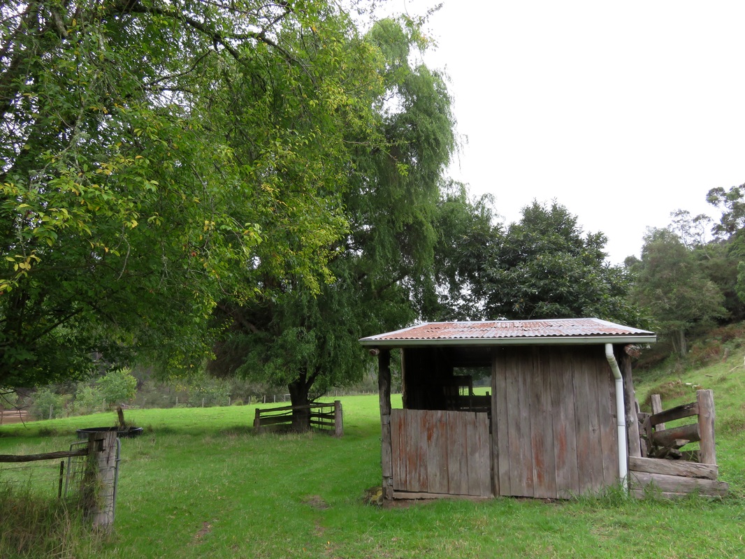Small timber shed, field and large trees