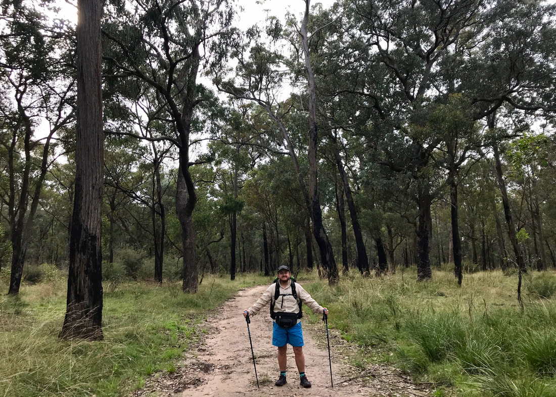 Person standing on a dirt road surrounded by bush (trees and understory of grass). They are wearing blue shorts, a beige shirt, a backpack, cap and bumbag. They hold walking poles.