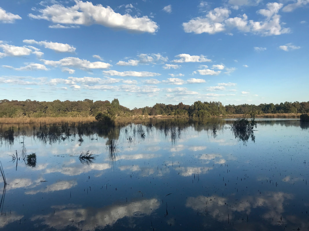 An expanse of still water reflecting small white clouds and a blue sky