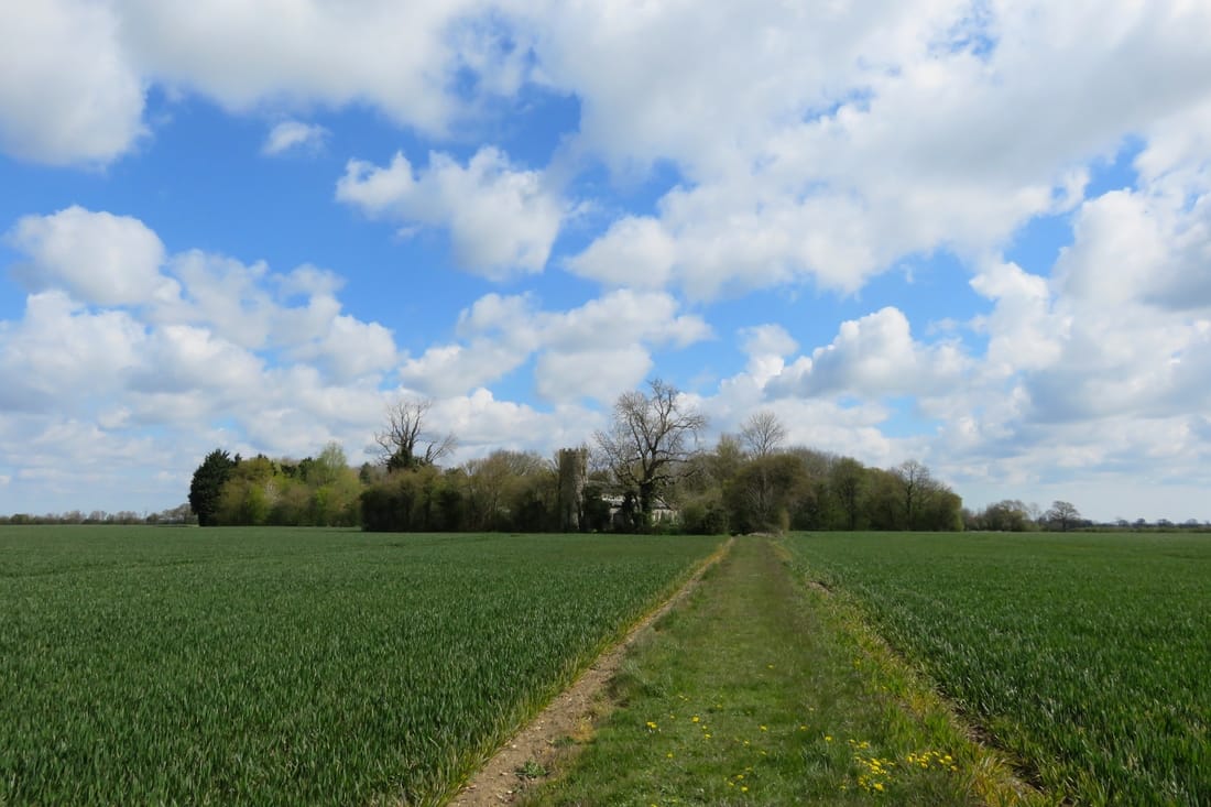 field and copse with church
