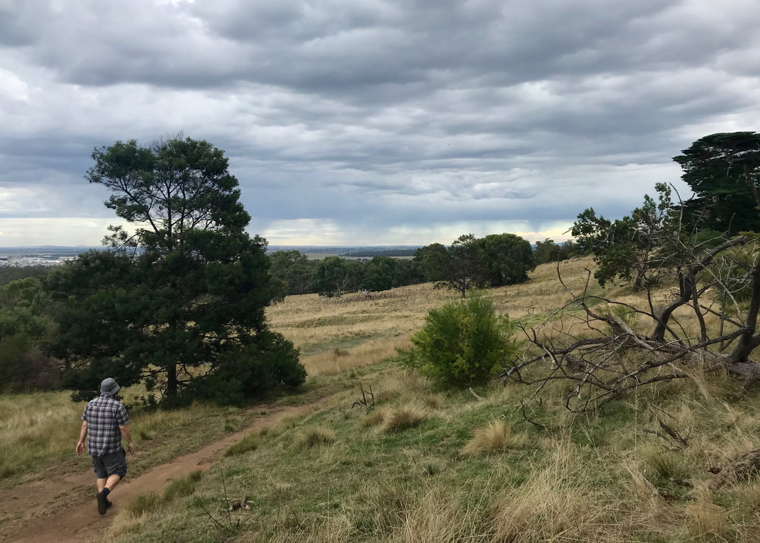 Person walking along a dirt path on a grassy hillside with trees, distant rain clouds and even more distant hills