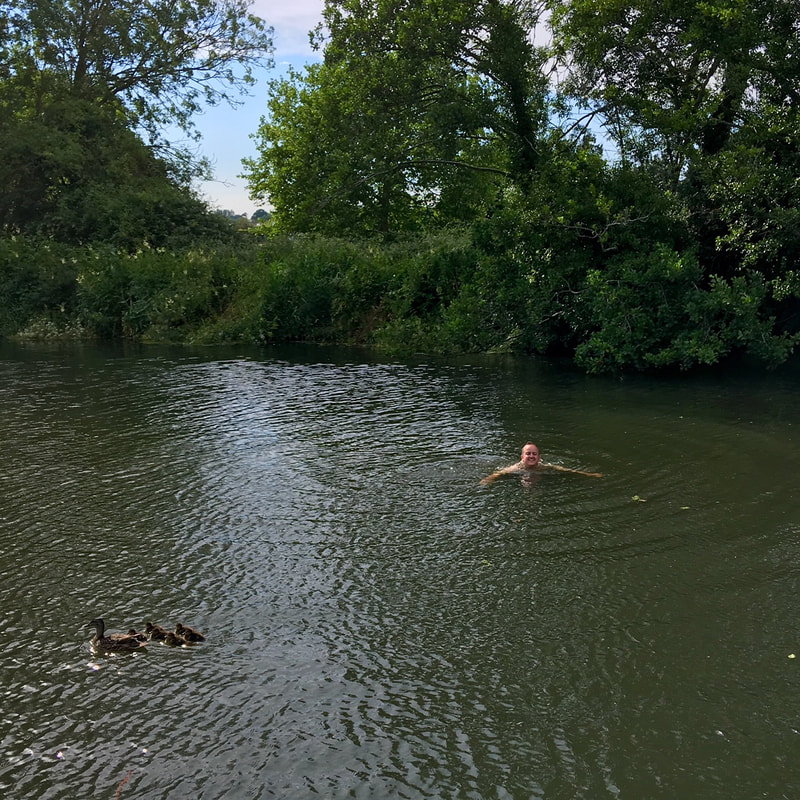 Person and ducklings in river